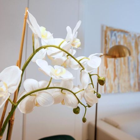 Tirso Suite Мадрид Екстериор снимка